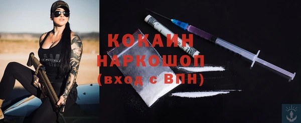 трава Магас