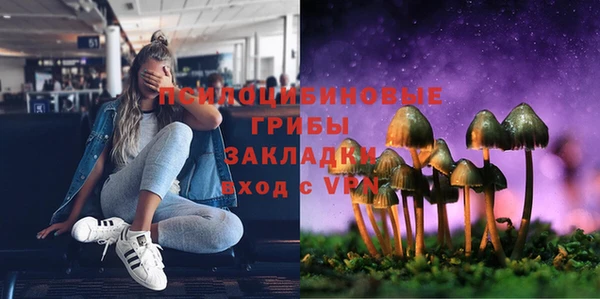 меф Майский
