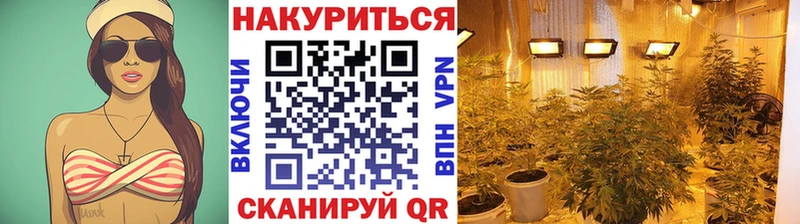 Марихуана White Widow продажа наркотиков Шилка